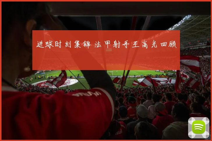 进球时刻集锦 法甲射手王高光回顾