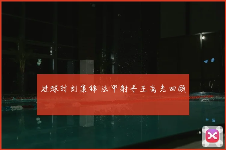 进球时刻集锦 法甲射手王高光回顾