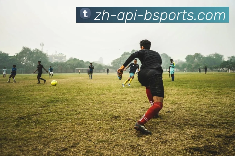 B体育平台生态图